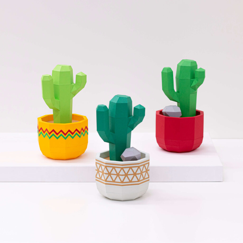 San Pedro cactus in flower pot