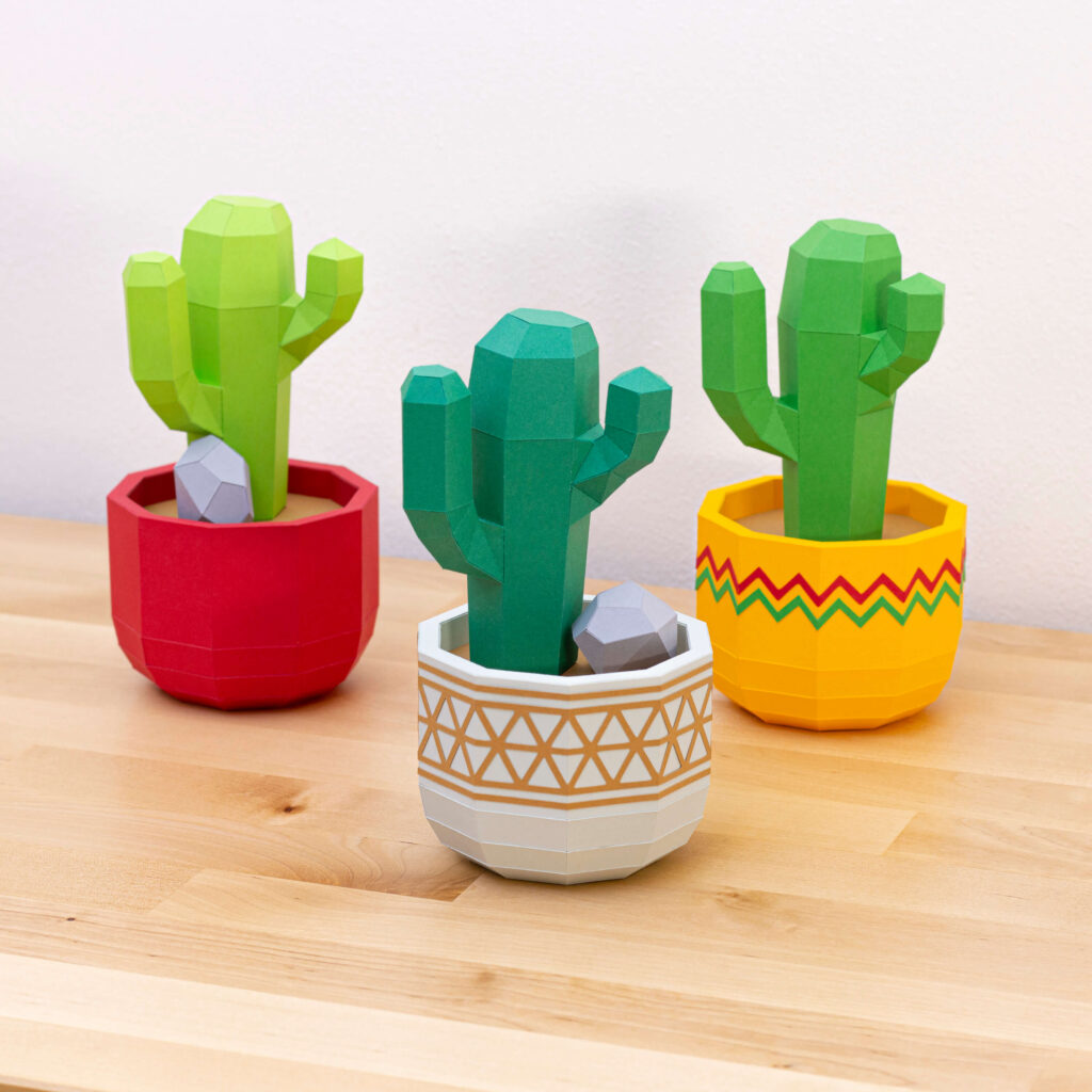 San Pedro cactus in flower pot on desk